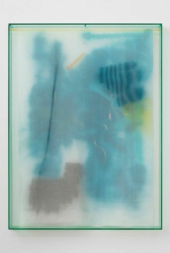 Strauss Bourque-LaFrance, "Seaweed Sky," 2014, plexiglass, plastic mesh and spray enamel, 40 x 30 x 2.25 in., 101.6 x 76.2 x 5.7 cm