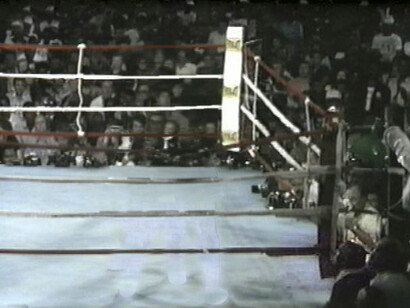 Paul Pfeiffer, La cuenta larga (estruendo en la jungla) (fotograma), 2001. Cortesía de Guggenheim Museum Bilbao