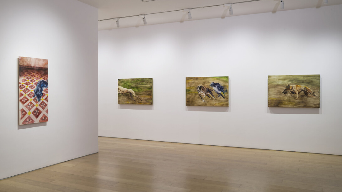 Tindara Spartà, Mad house, exhibition view. Courtesy of Bernier/Eliades Gallery