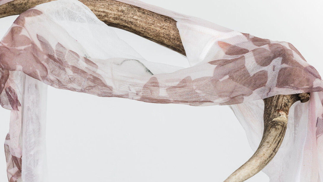 Luca Trevisani Il secco e l’umido, 2016 UV print on stockings, animal horn, plexiglas Photo: Delfino Sisto Legnani Courtesy the artist