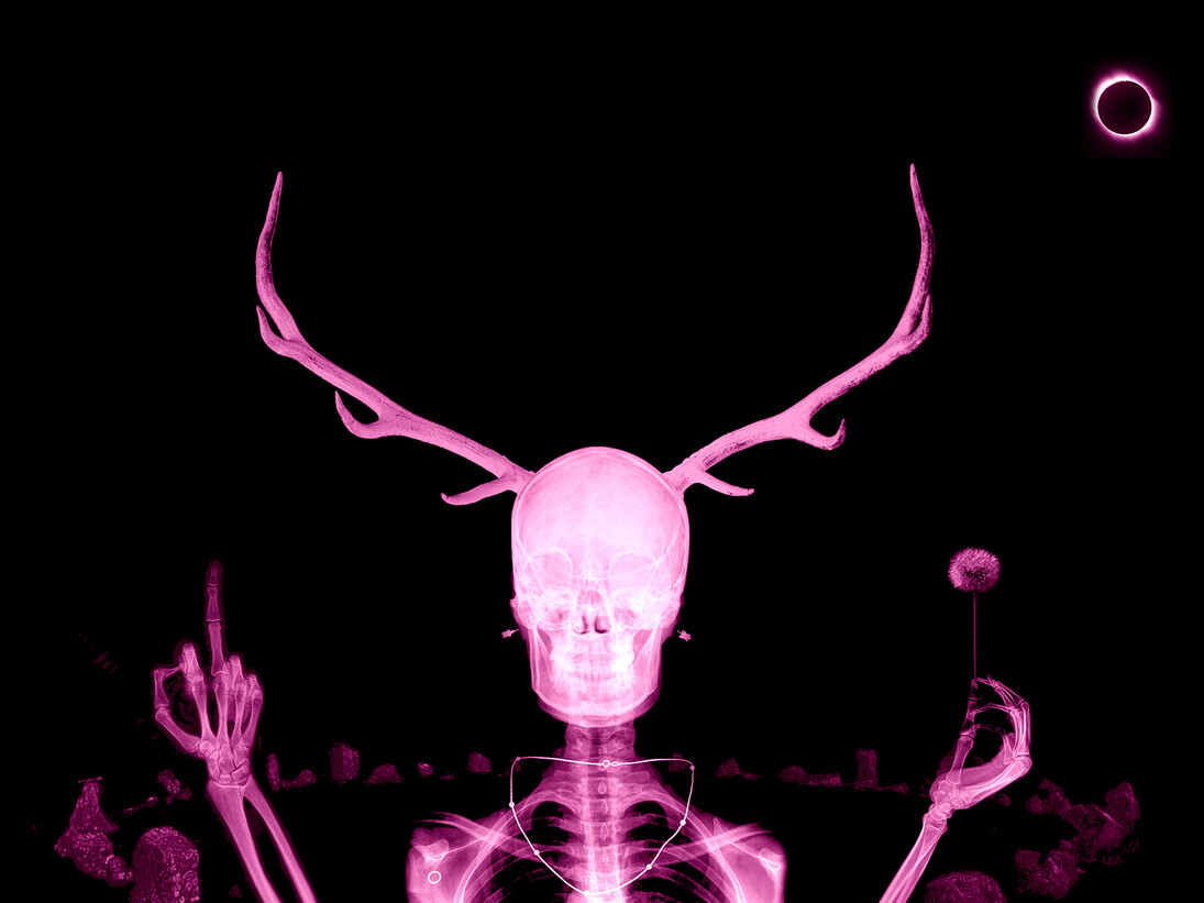 Alexander de Cadenet, The Trophy (Pink), 2015