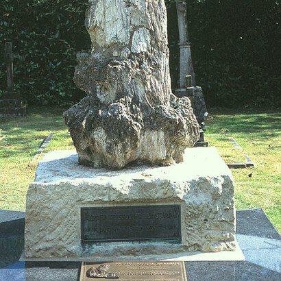 Tumba de Alfred Russel Wallace (1823-1913) en el cementerio de Broadstone, Dorset, Inglaterra 