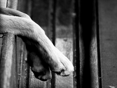 O olhar filosófico de Roberto Nascimento e suas fotografias que revelam a beleza oculta no cotidiano