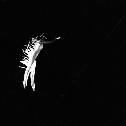 Massimiliano Camellini, Synthesis. Cortesia di Amy-d Arte Spazi