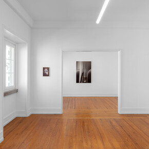 Alexandra Barth, In the country of last things, exhibition view. Courtesy of Document Gallery