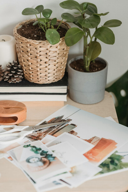 Autora eleva seus projetos criativos ao  montar um mood board inspirador