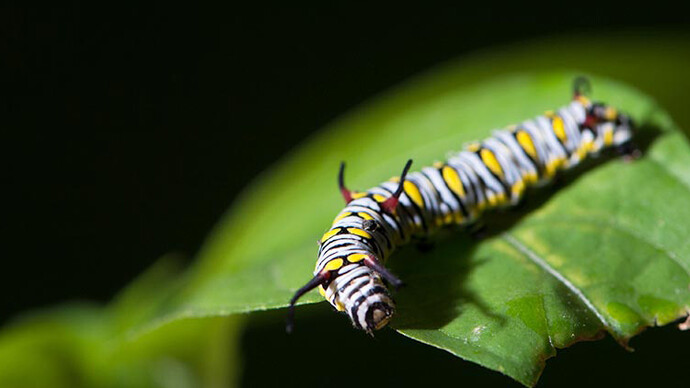 Ecogarden. Courtesy of Science Centre