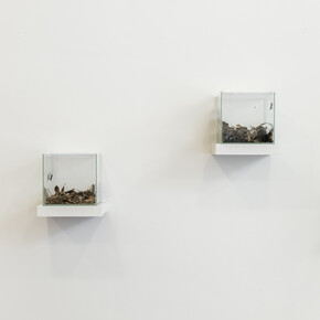 Coquelicots, Exhibition view. Courtesy of MFC - Michèle Didier