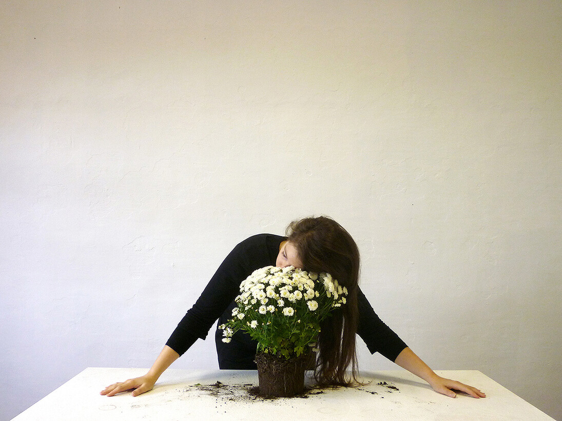 Meggy Rustamova, Search in Depth, 2013