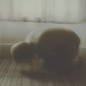 Pat Brassington. Courtesy of Art Gallery of NSW