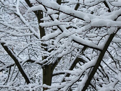 The quarantine for him was a nemesis