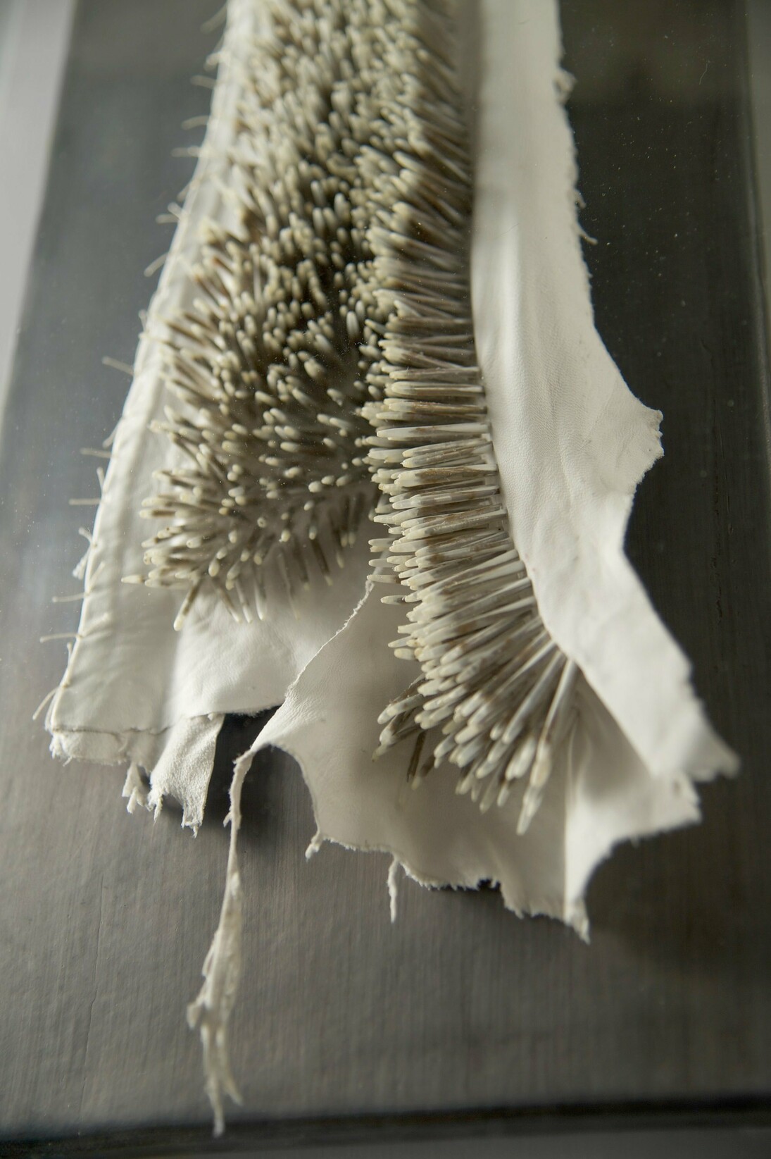 Kate MccGwire, Pelt Flay. Photo JP Bland