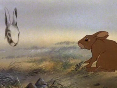 La collina dei conigli, film di animazione del 1978 diretto da Martin Rosen, tratto dal romanzo omonimo di Richard Adams