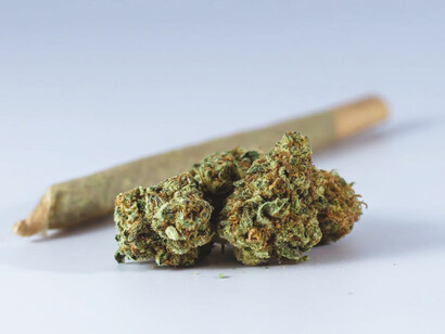 Close-up of cannabis plants, symbolizing the expanding cannabis industry and increasing acceptance in Europe