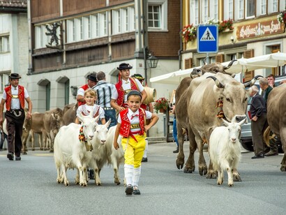 Mostra del bestiame, Appenzell, Svizzera: "La tradizione era importante perché era il condensato di queste istruzioni che servivano alla comunità per sopravvivere"