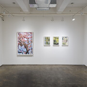 Maxine Henryson, Frequently the woods are pink, 2023, exhibition view,  A.I.R. Gallery, Brooklyn, NY, photo by Sebastian Bach. Courtesy of the artist and A.I.R. Gallery