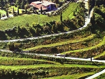 Per i produttori Chiara Turelli e Andrea Bignotti l'etichetta non è uno strumento di marketing, ma il sigillo visivo di una filosofia che interpreta il vino come espressione dell'anima oltre che della terra