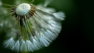 Trust the flow of imagination, ph. Michael Stillwater