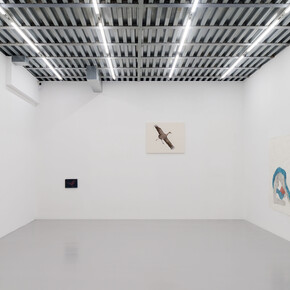 Marta Roberti, Due mondi, e io vengo dall'altro, vista della mostra. Per gentile concessione di z2o Sara Zanin