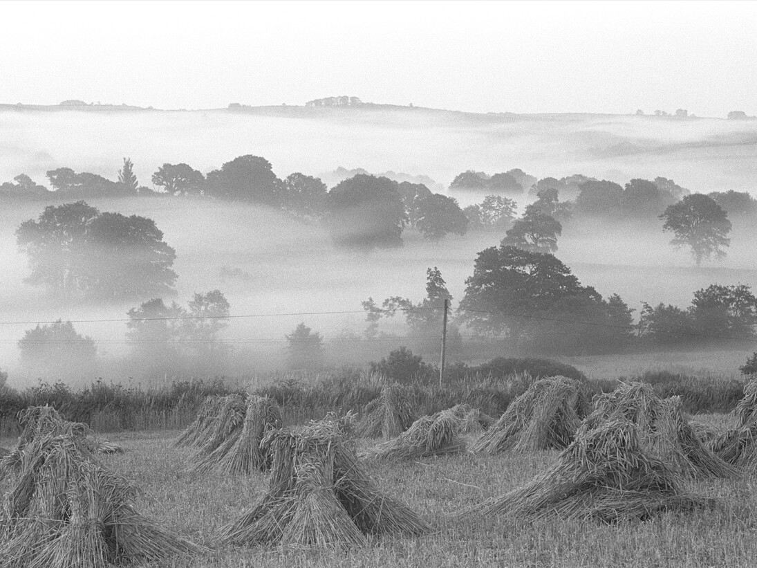 Early morning mist on The River Taw, Photograph by James Ravilious, image courtesy of the Beaford Arhive © Beaford Arts