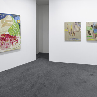 Alejandra Seeber, Installation view. Courtesy: photo by Günter König; the artist and Häusler Contemporary München | Zürich