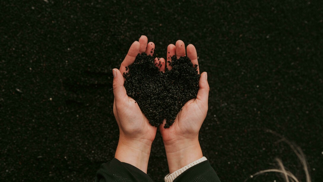 A ideia de que o ambiente afeta a saúde não é nova. Hipócrates, o pai da medicina, já dizia que “quem quiser estudar medicina corretamente deve primeiro considerar as estações do ano e as qualidades dos ares, das águas e dos lugares.” Hoje, essa visão holística retorna sob novas bases, com dados que mostram que a degradação ambiental está na raiz de epidemias modernas, da proliferação de doenças crônicas e até de emergências sanitárias globais