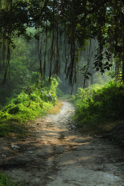 Al vivir en la expectativa comienza una carrera silenciosa donde avanzamos, cumplimos y nos esforzamos, pero la meta se desplaza cada vez que creemos alcanzarla