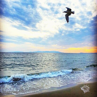 Cogli l'attimo, scatto di Walter Maria Calarco