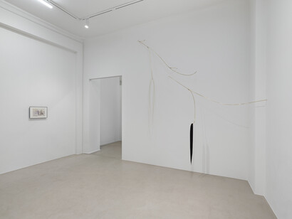 Petrit Halilaj, Who does the earth belong to while painting the wind?! Exhibition view. Courtesy of ChertLüdde