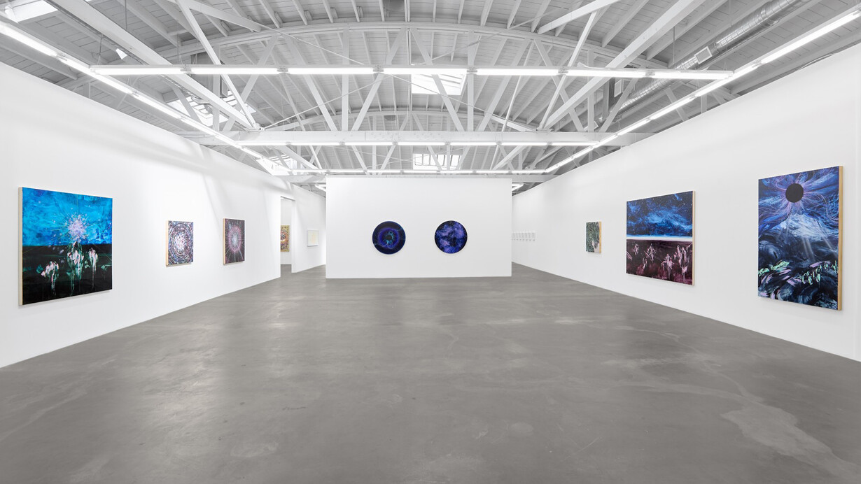 Lia Halloran, Night watch, exhibition view. Courtesy of Luis De Jesus Los Angeles