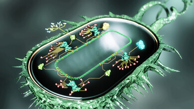 Synthetic bio cell