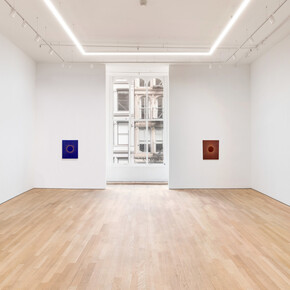 Karen Arm, Night birds, exhibition view. Courtesy of P·P·O·W Gallery