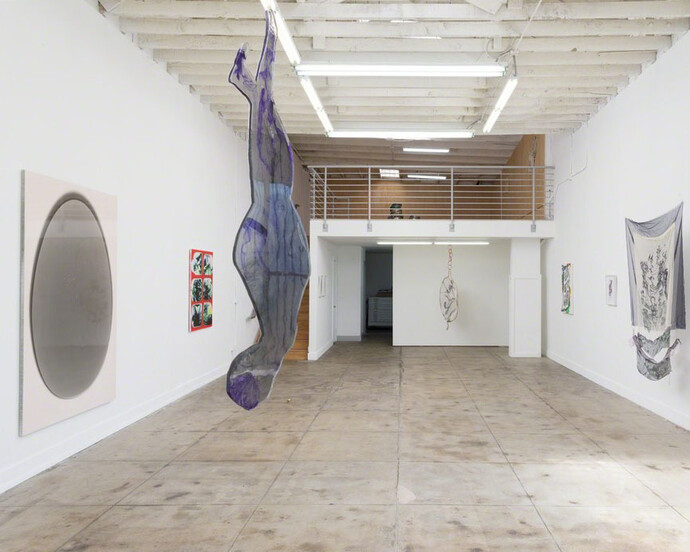 Body Without Organs, Exhibition view. Courtesy of Ochi Projects 