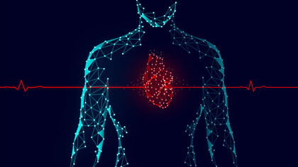 A new heart