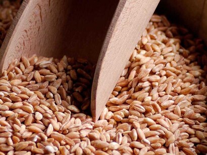 L'importanza del farro nell'alimentazione