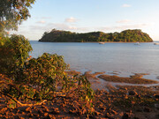 Isole Kadavu