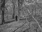 Harry Callahan. Courtesy of Robert Mann Gallery