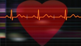 Tracciato del cuore. Conoscere e curare il cuore: l'importanza della formazione diffusa per la prevenzione e l'intervento tempestivo
