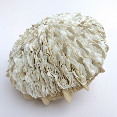 Ellen van der Woude. Courtesy of Galerie Schortgen