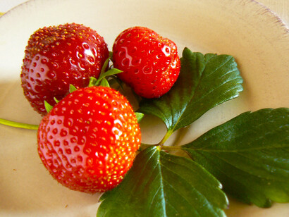 Fragole