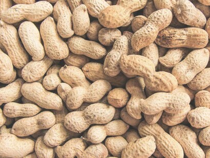Lo aplastó y sacó dos almendras que venían envueltas en una hoja café que contrastaba con lo pálido de la semilla