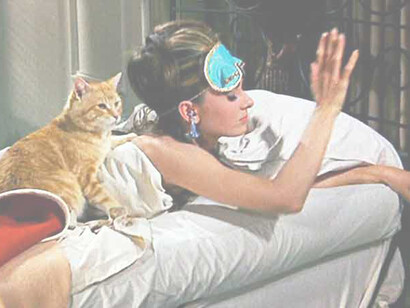 Colazione da Tiffany. Nel gatto lei vede sé stessa, un essere libero, indipendente, che non appartiene a niente e a nessuno, Holly non vuole dargli un nome. Non ne ha il diritto, dice. Tanto nel romanzo di Capote che nel film di Edwards il fedele compagno felino è chiamato infatti semplicemente Gatto