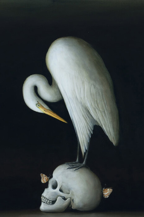 David Kroll, Still life (egret and skull), 2024. Courtesy of Zolla Lieberman Gallery