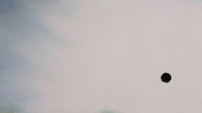 David Kowalski. Courtesy of Bo.Lee Gallery