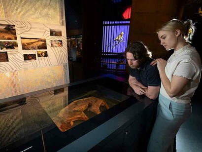 Great southern land, exhibition view. Courtesy of the National Museum of Australia