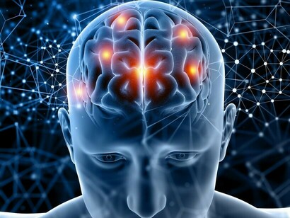 Wir haben Neuronen nicht nur im Gehirn in unserem Schädel, sondern auch in unserem Darm