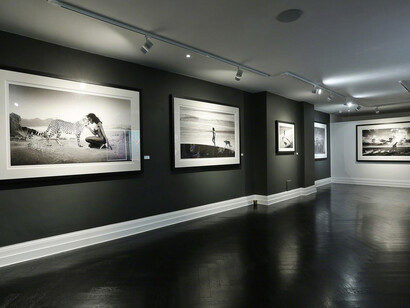 Winter Contemporary. Courtesy of Maddox Gallery