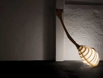 Penumbra. Courtesy of Galeria Nara Roesler