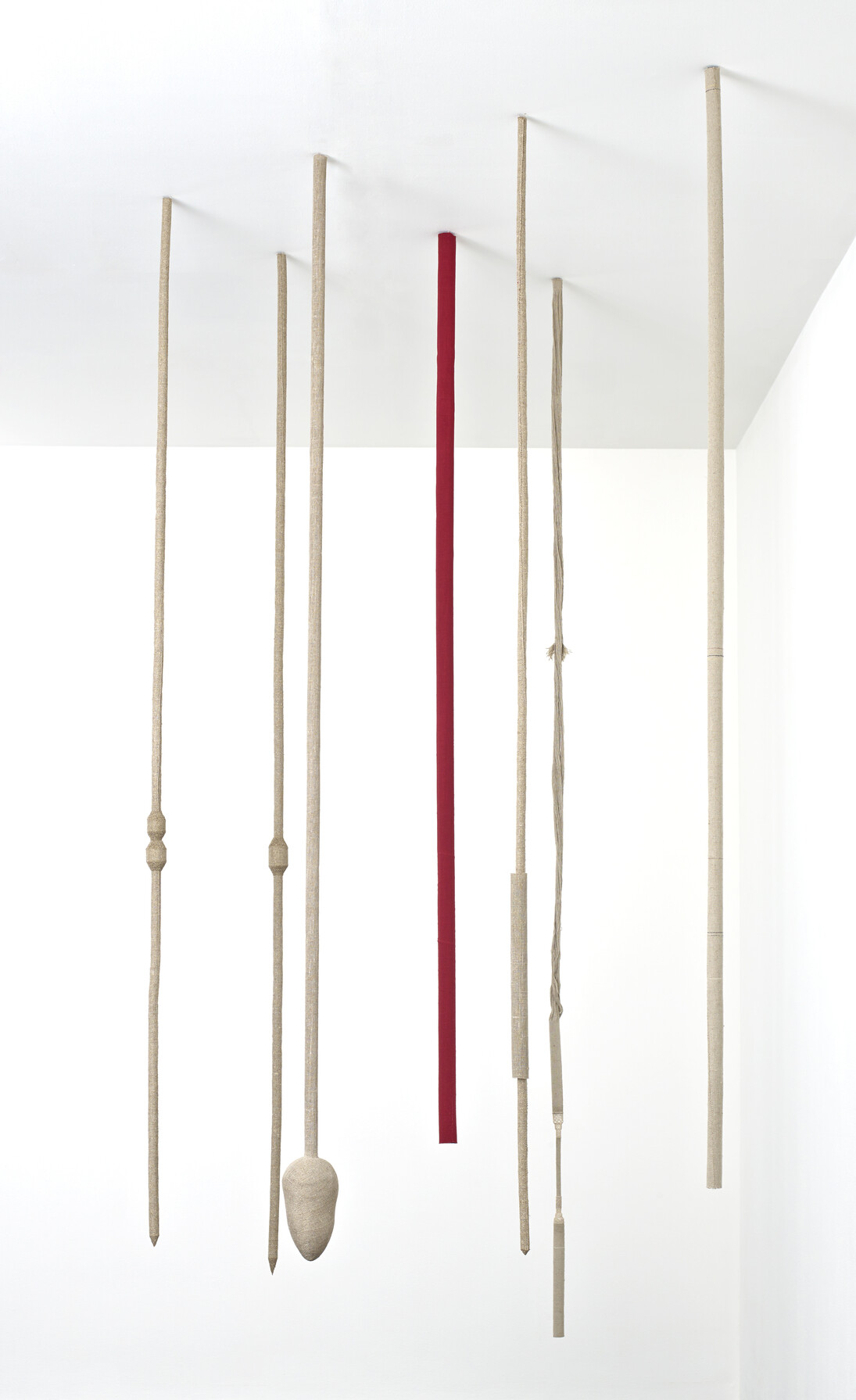 Tonico Lemos Auad, Seven Seahorses, 2013