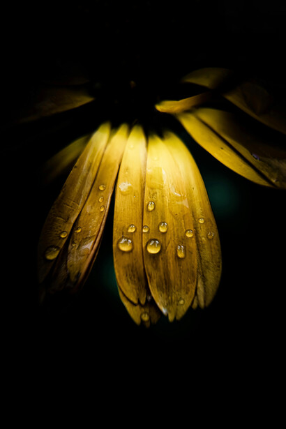 La figura de la bruja nos invita a recordar a todas esas mujeres, de tiempos lejanos o cercanos, que mantuvieron vivo ese fuego interno a pesar de las dificultades